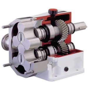 نمایش نمای برش خورده پمپ لوب رادین سایز دو اینچ